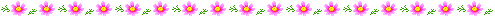 --------------------------------------------------------